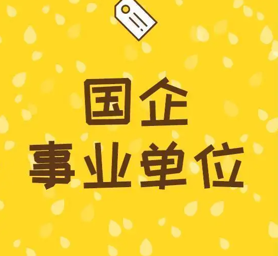 国企事业单位各种统计系统